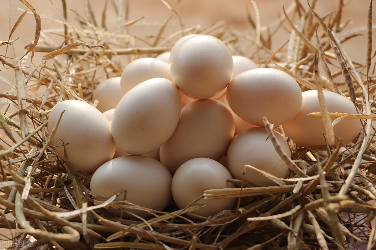 土鸡蛋更有营养？一天吃几个鸡蛋最合适？懂行的人，都在这样吃