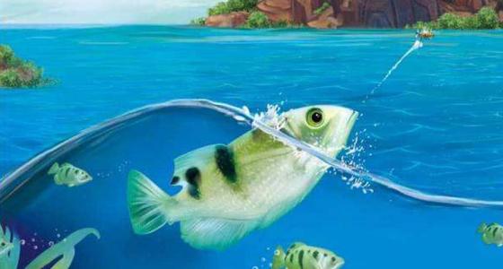 射水鱼为什么会射水，射水鱼怎样喷水的？