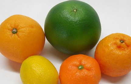 柑橘橙有什么区别（柑橘橙的区别）