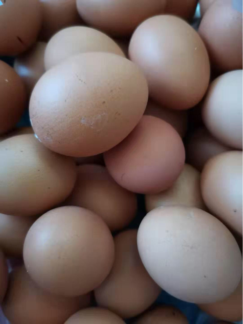 鸡蛋的保质期有多久？4个保存鸡蛋小妙招，延长鸡蛋新鲜度