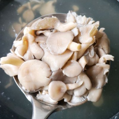 平菇最好吃的家常做法，鲜辣爽滑，开胃下饭一盘不够吃