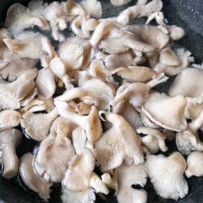 平菇最好吃的家常做法，鲜辣爽滑，开胃下饭一盘不够吃