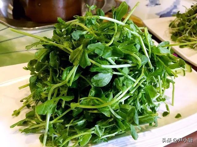 春天最嫩的蔬菜千万不要错过，豌豆苗的6种做法，鲜嫩爽口很下饭