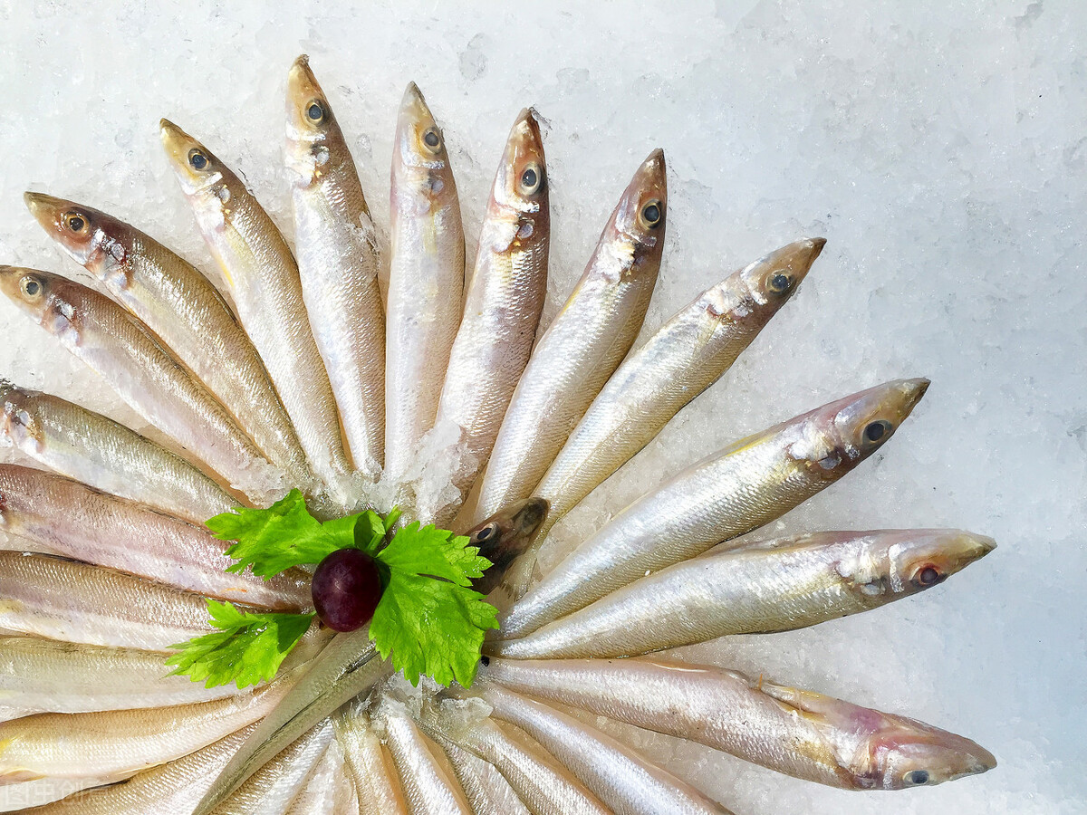 这5种海鱼，全都是野生捕捞，到海鲜市场放心买，味道鲜美又好吃