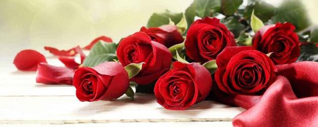 9朵玫瑰花语是什么(玫瑰花不同朵数的含义)"