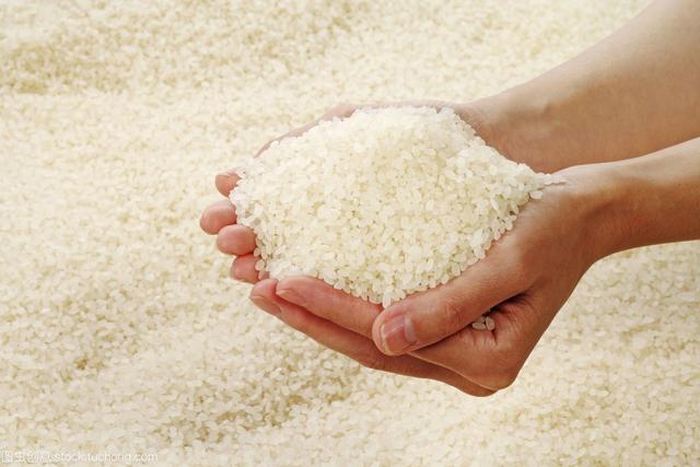 粳米和大米有什么区别，大米的等级是如何划分的？