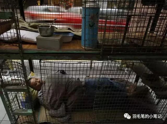 笼屋、劏房、棺材房——香港的底层生活