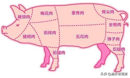 头条王刚做四川回锅肉用的"二刀肉"到底是什么肉？