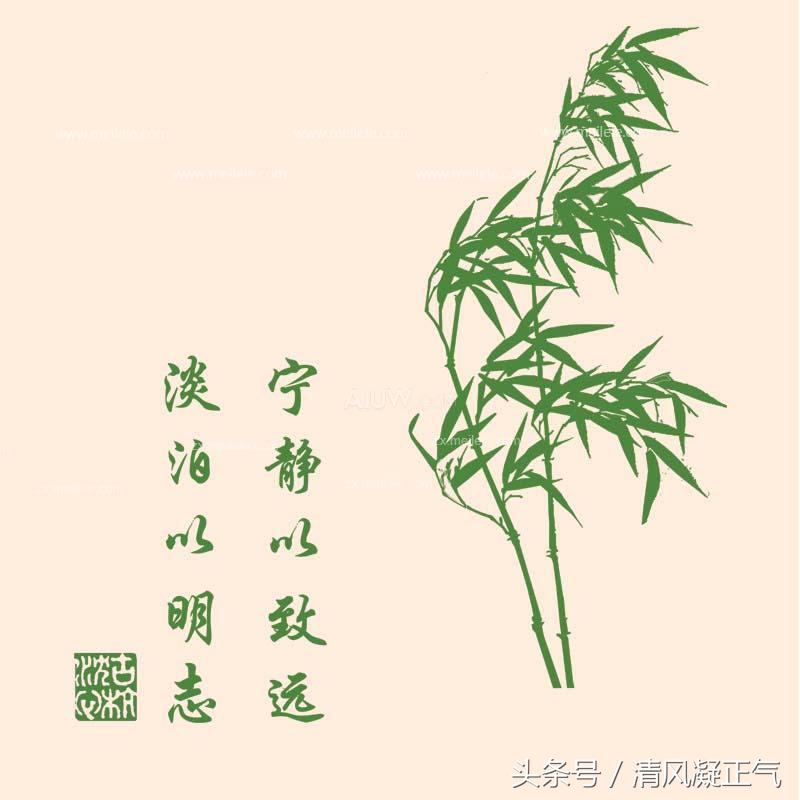 竹子的象征意义图片