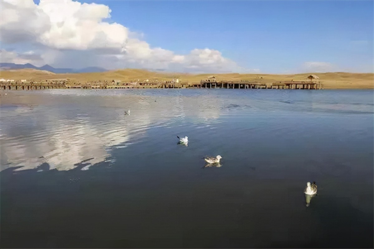 1980年新疆湖泊发现"水怪"，牛羊被拖进水中，真凶是条“大红鱼”