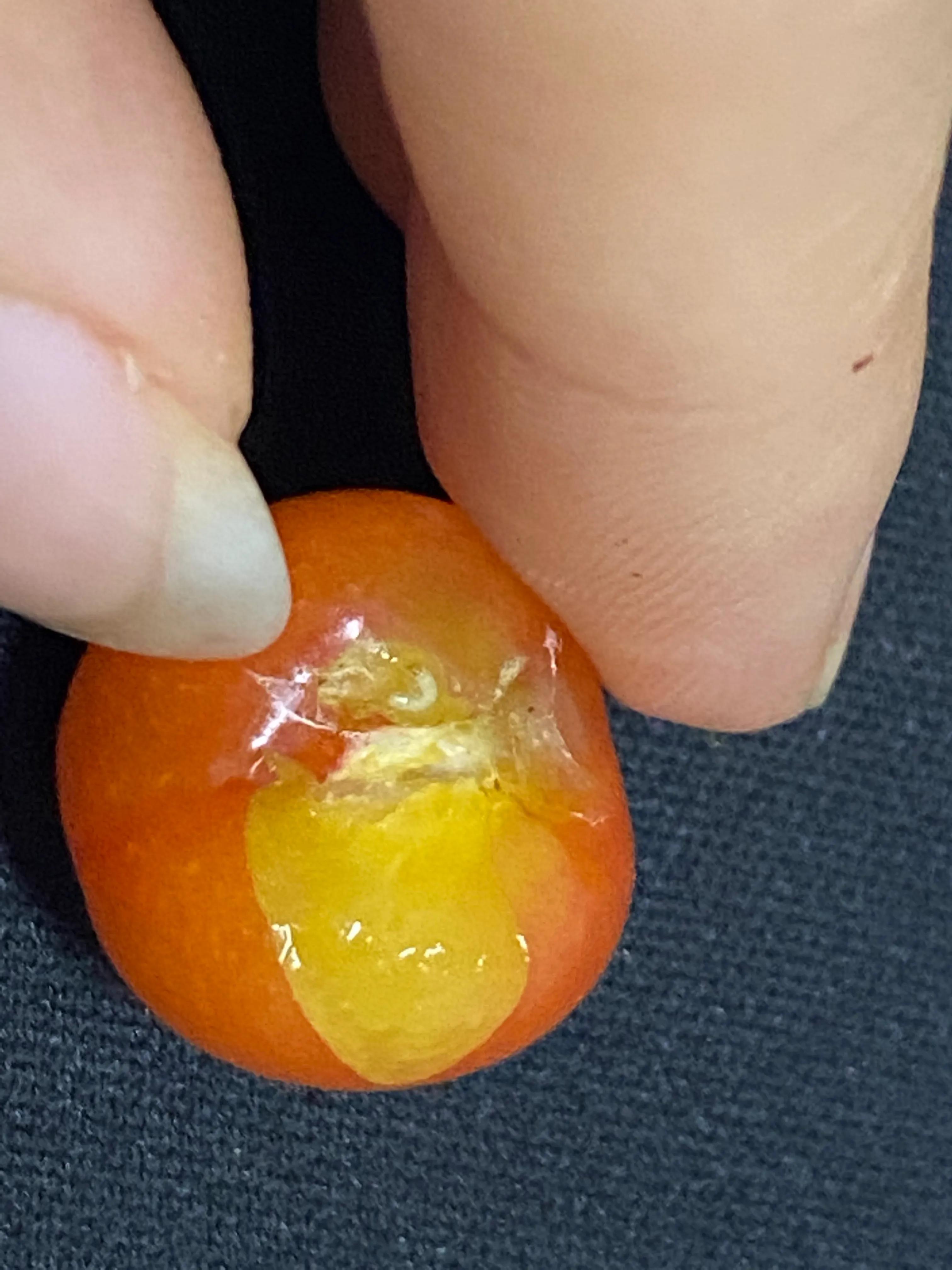 樱桃里面吃出的类似于“蛆”的虫子，会对身体造成伤害吗？
