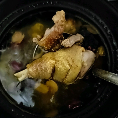 回味无穷的灵芝炖鸡汤来拯救你的胃