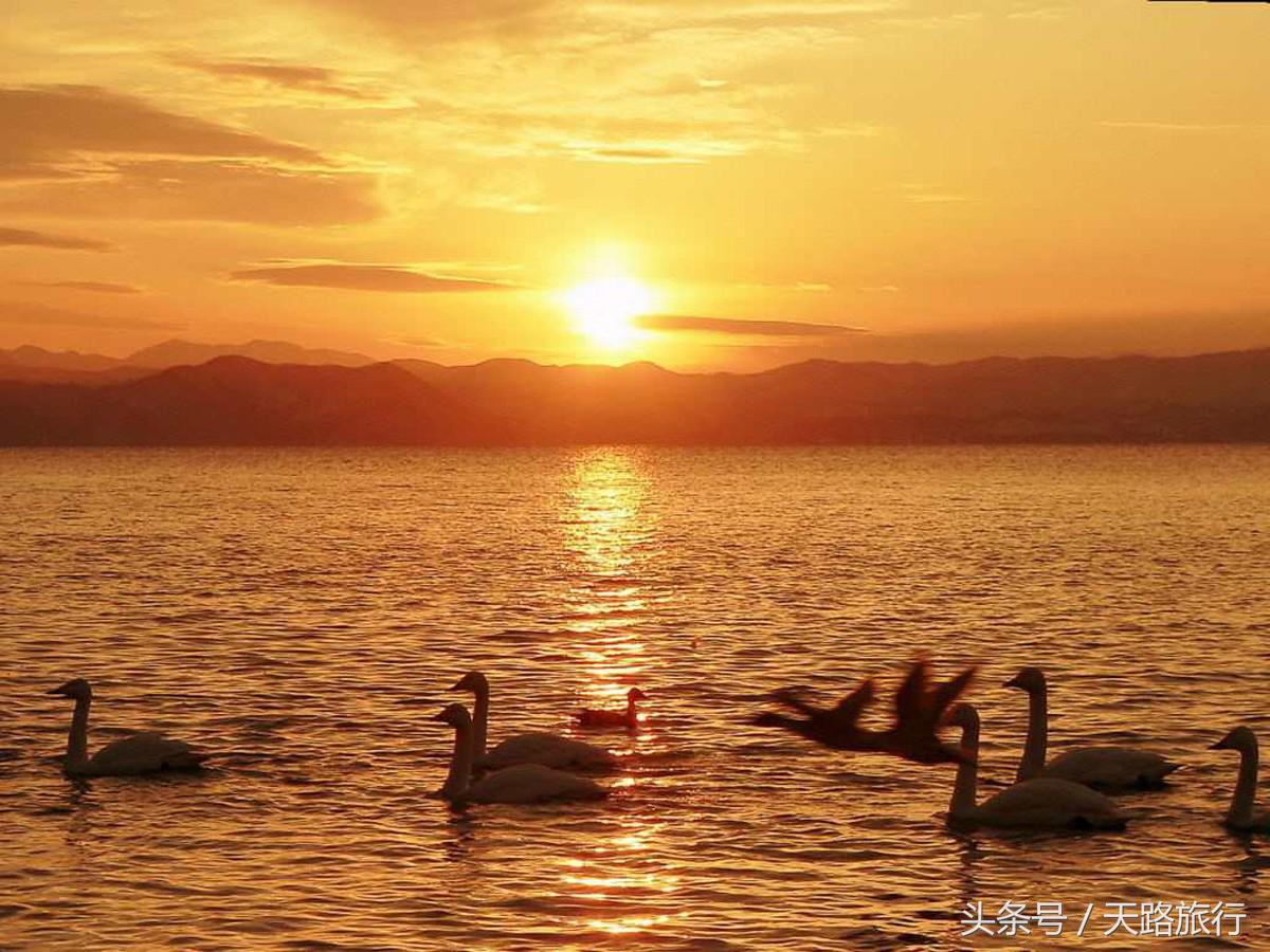 中国5大淡水湖面积排名，江苏2个上榜，安徽1个，有你家乡的吗？