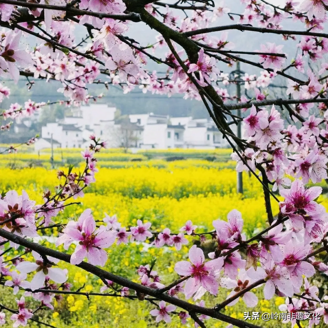 中国农历月份雅称—三月“桃月”