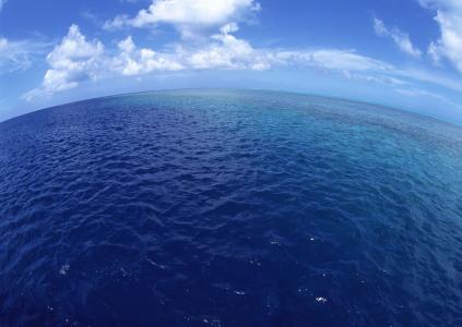 如果全人类集体跳海能填满太平洋吗？