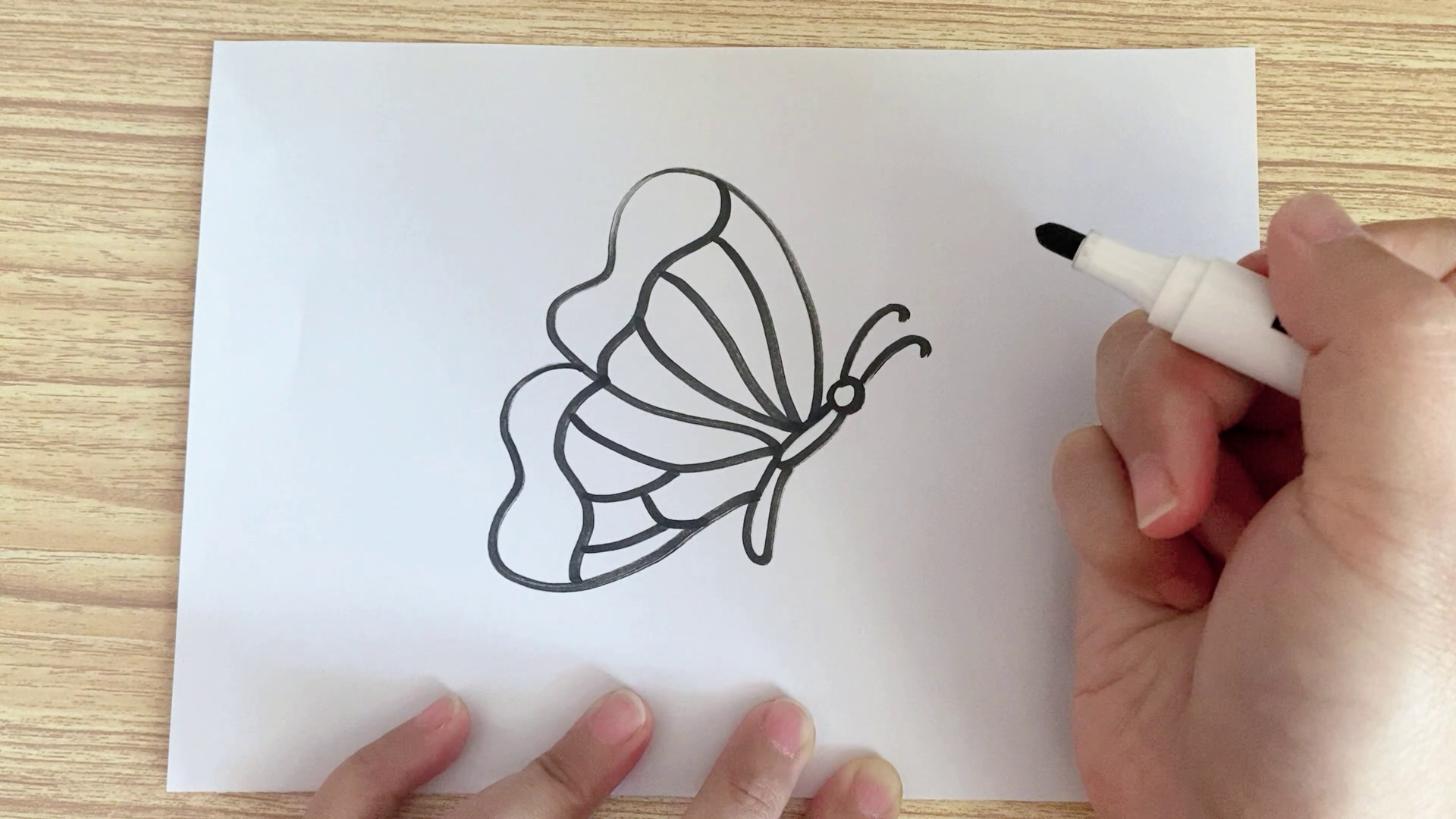 超简单的蝴蝶简笔画，一看就会画这款蝴蝶“会飞的花朵”！