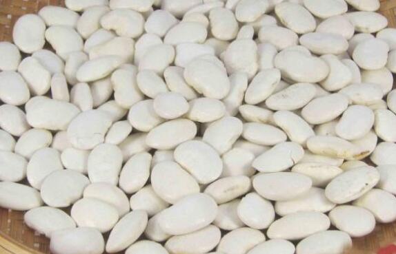 白芸豆有哪些功效与作用？真的能减肥吗？