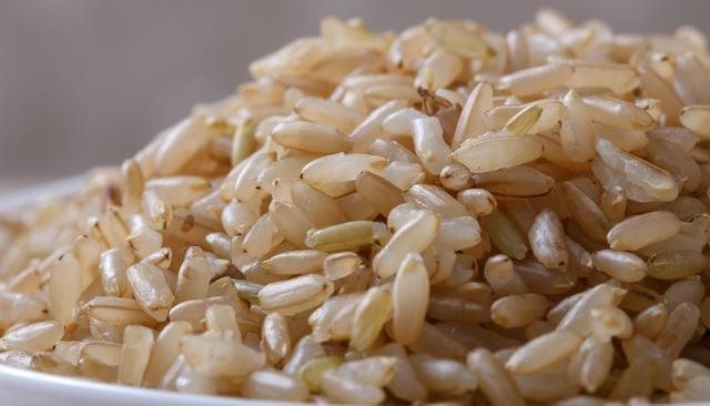 糙米是什么米，怎么做好吃？