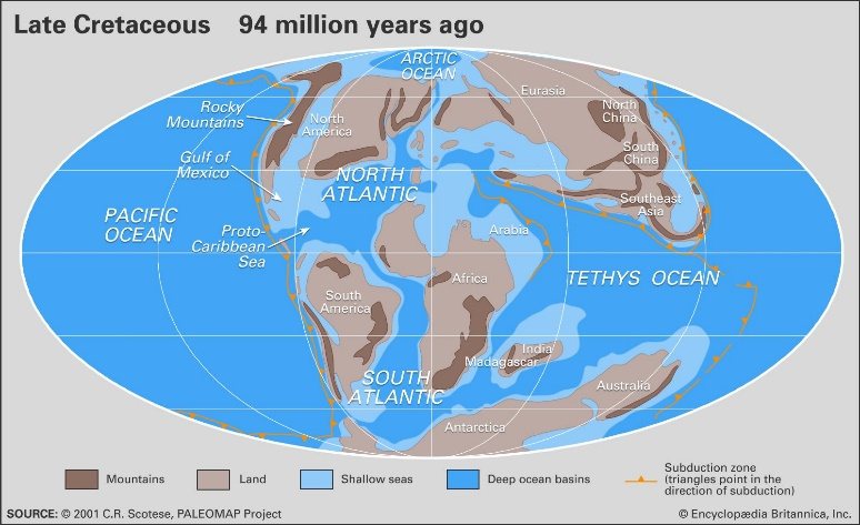 白垩纪时代有什么生物？和侏罗纪时代有什么不同？