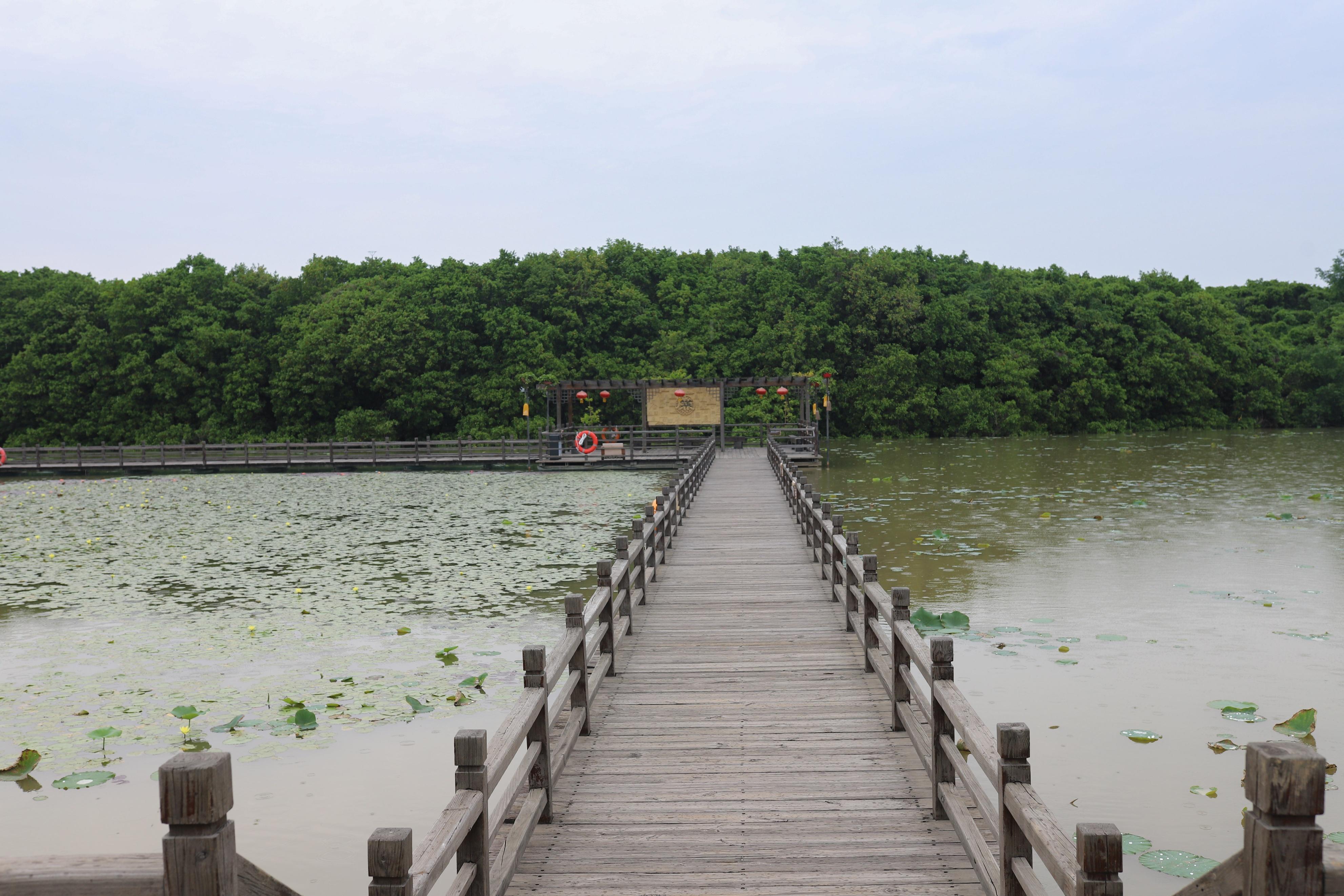 南沙湿地公园旅游攻略，它为何被称为“广州之肾”？
