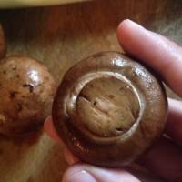 褐菇怎么做好吃？有什么功效与作用？