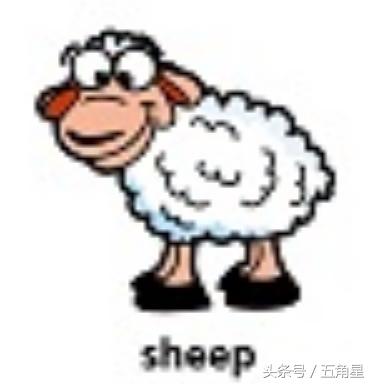 sheep的音标是什么？43个动物英文单词及音标读法！