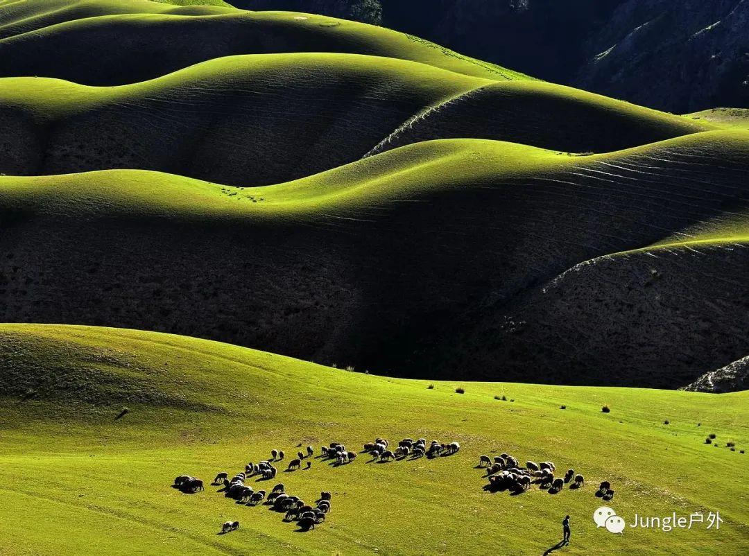 为什么要去北疆旅游？北疆到底有啥风景？
