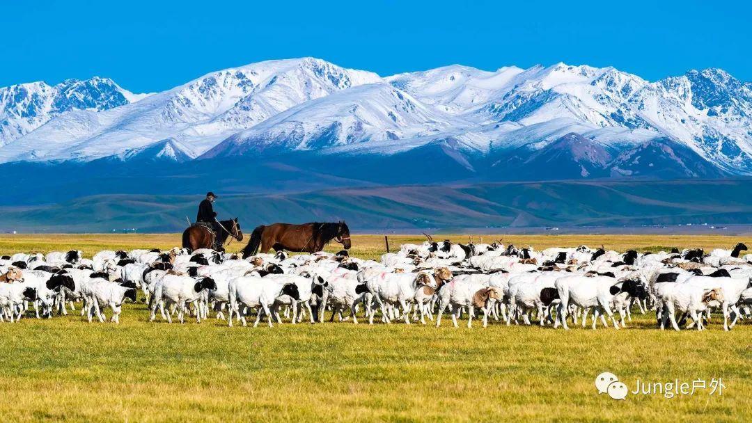 为什么要去北疆旅游？北疆到底有啥风景？